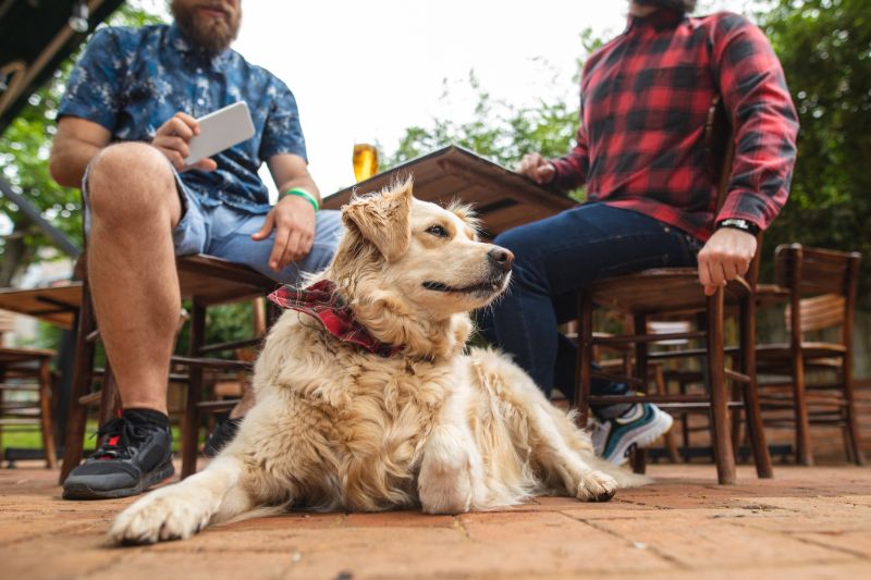 Dog-Friendly Restaurants in College Station | BHHS Caliber Realty