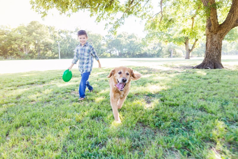 Boy Playing with His Dog