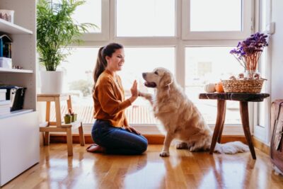 Woman High Five with Her Golden Retriever