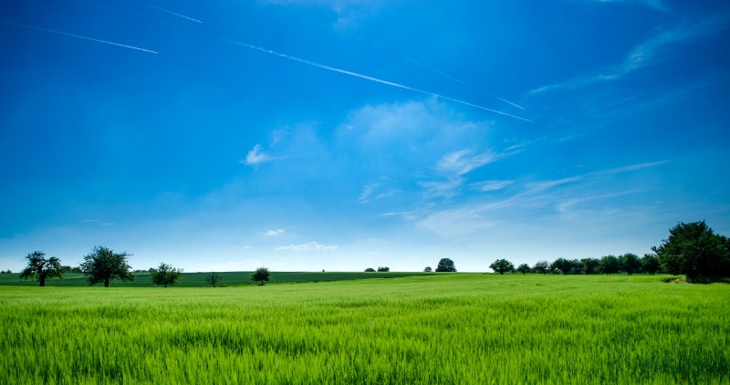 Green Field